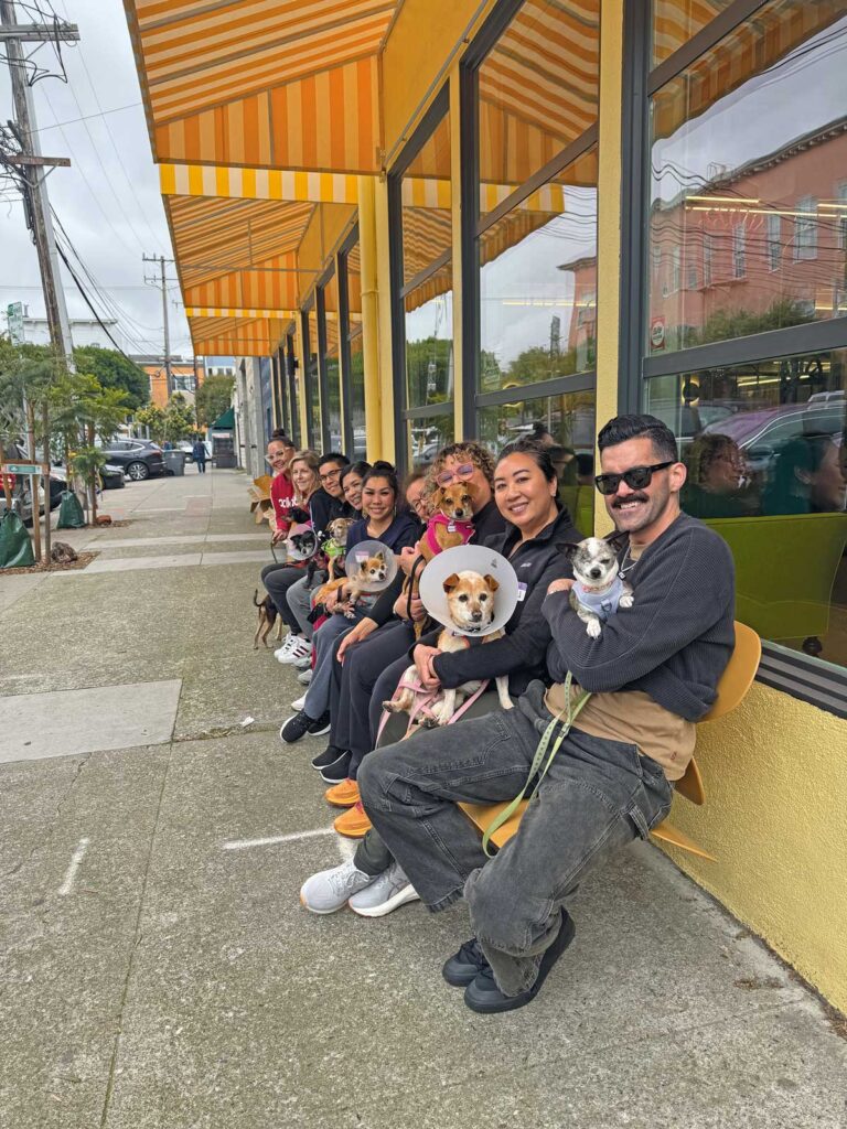 Dugoni School EVOC volunteers at Muttville