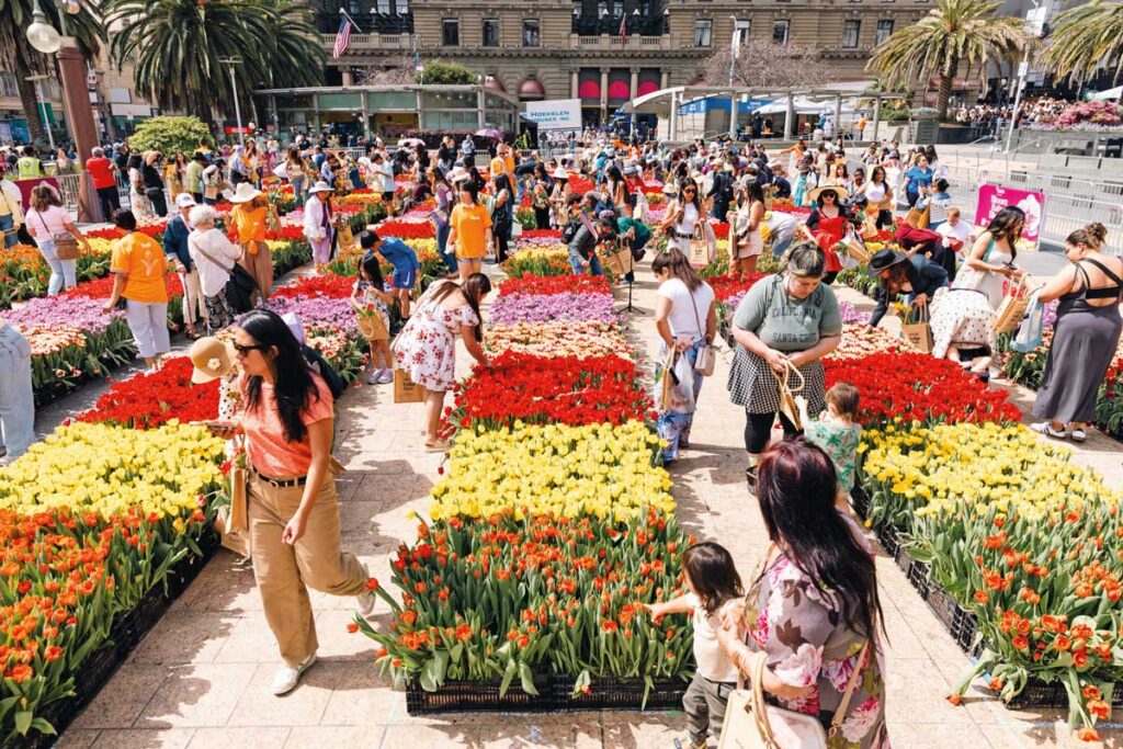 Tulip Day